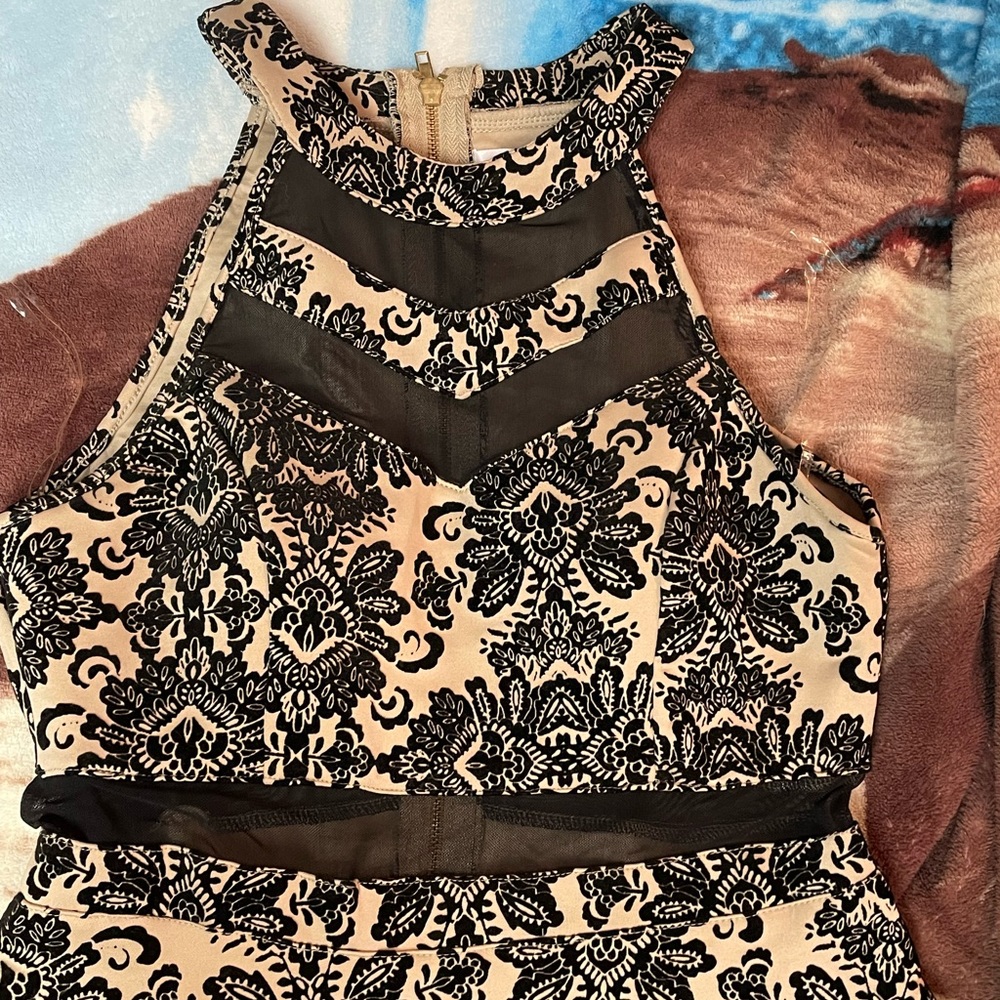 Fit and Flare Dress (Cream with Black velvet)